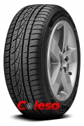 Hankook Winter i*cept evo W310