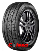 Nitto NT421Q резина в Минске