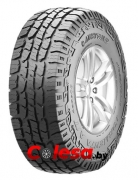 Austone SP308 летние шины  в Минске 