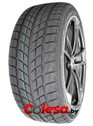DOUBLESTAR DW09 купить зимние шины  в Минске 