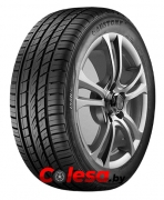 AUSTONE SP-303 купить  летние шины  в Минске 