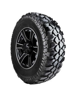 Centara Terrena M/T r15,r16.r17.r18,r19,r20,r21,r22,r23