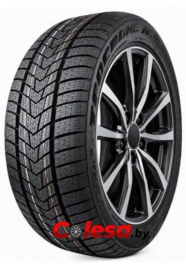 Roadking Argos S330 зимние шины