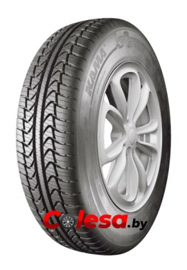 резина летняя Кама в Беларуси