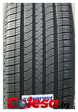 Kinforest KF717 купить  летние шины  в Минске 