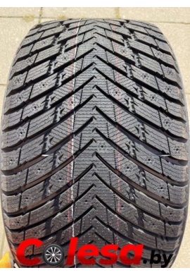 Arivo Ice Claw ARW7 купить шины в Минске 