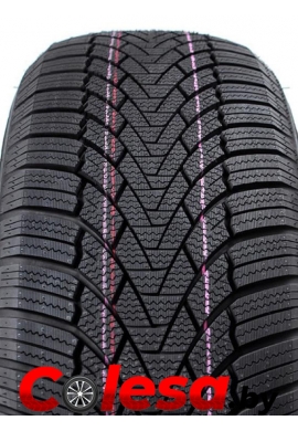 купить шины в Минске ARIVO WINMASTER PROX ARW3