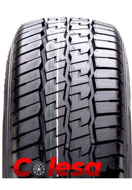 купить  летние шины  в Минске   Ecovan 2