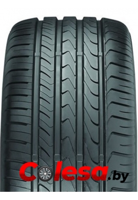 резина летняя Maxxis M36 