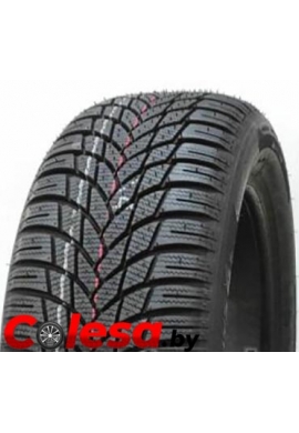  SNOWAYS 4 Автомобильные шины