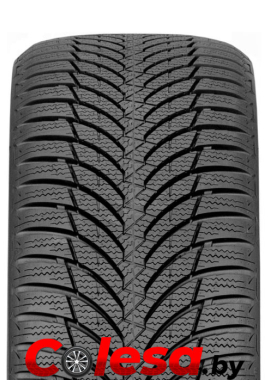 резина зимняя Roadstone Eurovis Alpine 2 