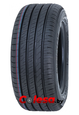 Goodyear EfficientGrip Performance 2 летние шины 