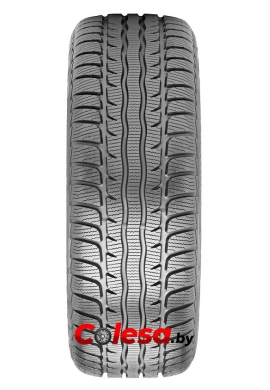 FORMULA WINTER купить зимние шины  в Минске 