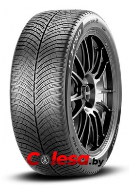 Pirelli PZero Winter 2 Автомобильные шины