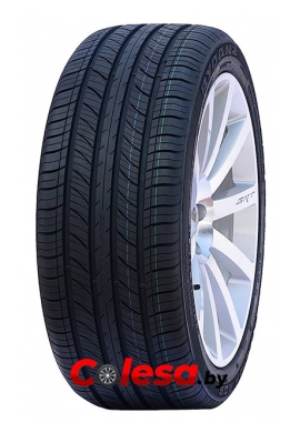 Rydanz Raleigh R06 купить резину