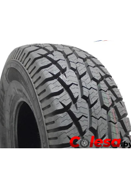 Sunfull Colesa.by tyres