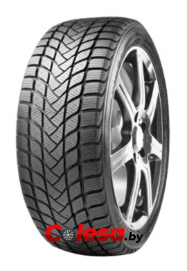 Delinte WD1  r15,r16,r17,r18,r19,r20,r21,r22,r23.