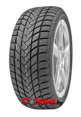 Delinte WD6 купить зимние шины  в Минске 