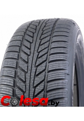 Зимние шины для электромобилей HANKOOK  