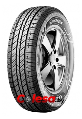 Evergreen ES82 Автомобильные шины