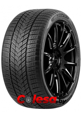 купить шины в Минске Arivo Winmaster ProX ARW5