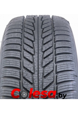 Купить колёса для электромобиля в Беларуси HANKOOK WINTER I*CEPT ION A IW01A EV