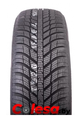 Nexen N&#039;Blue 4Season  Всесезонная шины  купить в Минске 