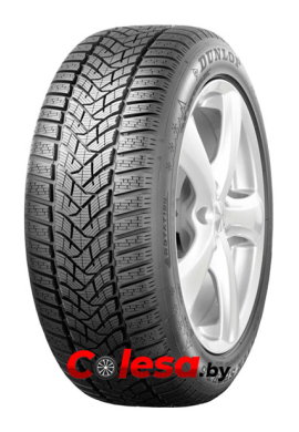 Автомобильные шины Dunlop Winter Sport 5