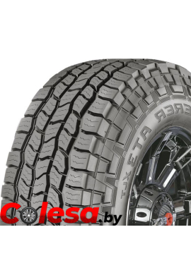 шины для внедорожников Cooper Discoverer A/T3