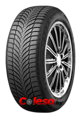 купить зимние шины в Москве Минске  Roadstone Eurovis Alpine 2