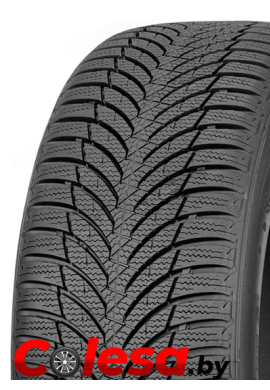 колеса зимние Roadstone Eurovis Alpine 2  в Беларуси