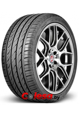 DELINTE DH2  Автомобильные шины