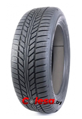  HANKOOK IW01 WINTER I CEPT ION Зимние шины для электромобилей