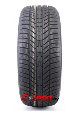 резина зимняя r15,r16.r17.r18,r19,r20,r21,r22,r23 CONTIWINTERCONTACT TS 870 P