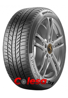 Continental колеса зимние  ContiWinterContact TS 870 P
