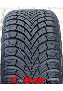 Автомобильные шины MAXXIS PREMITRA SNOW WP6