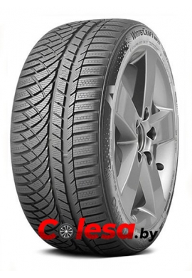 Автомобильные шины Wintercraft WP72