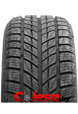 DoubleStar DW09 купить зимние шины  в Минске 