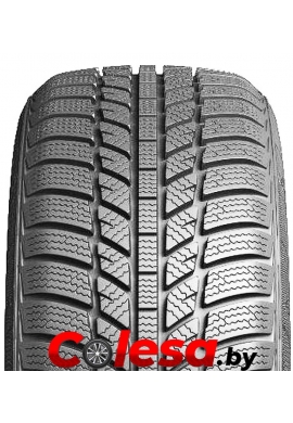 Evergreen EW62  купить зимние шины  в Минске 