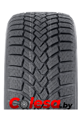 купить зимние шины в Москве Минске  Rauffan SNOWMASTER W1 
