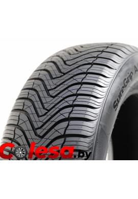 колеса в Минске и Беларуси Gripmax SureGrip A/S Nano