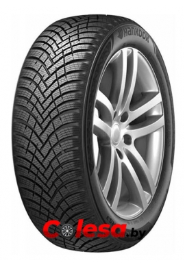 Hankook Winter i*cept RS3 W462 