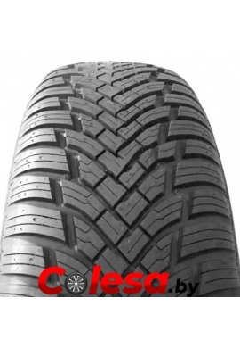 Petlas MultiAction PT565 Всесезонная шины  купить в Минске 