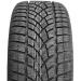 Купить шины в Беларуси Dunlop Winter Sport 3D