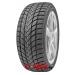 Delinte WD6 купить зимние шины  в Минске 