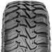  Nexen Roadian M/Tx RM7 купить  летние шины  в Минске 